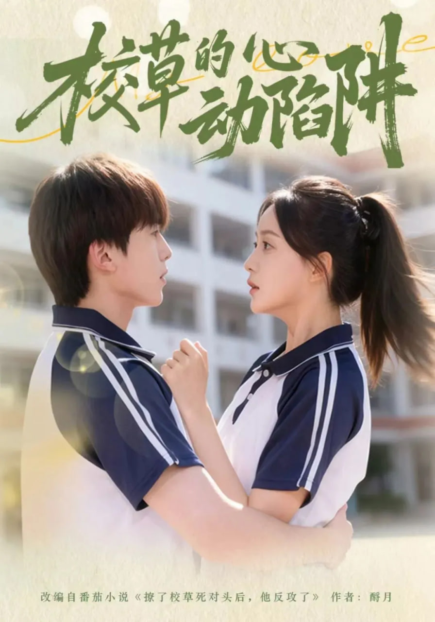 绿皮书